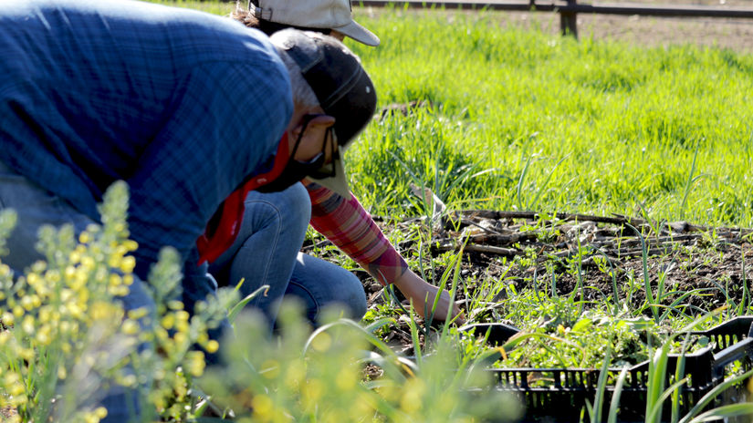 TRIBAL ENVIRONMENTAL OFFICE- 2021 COMPILATION